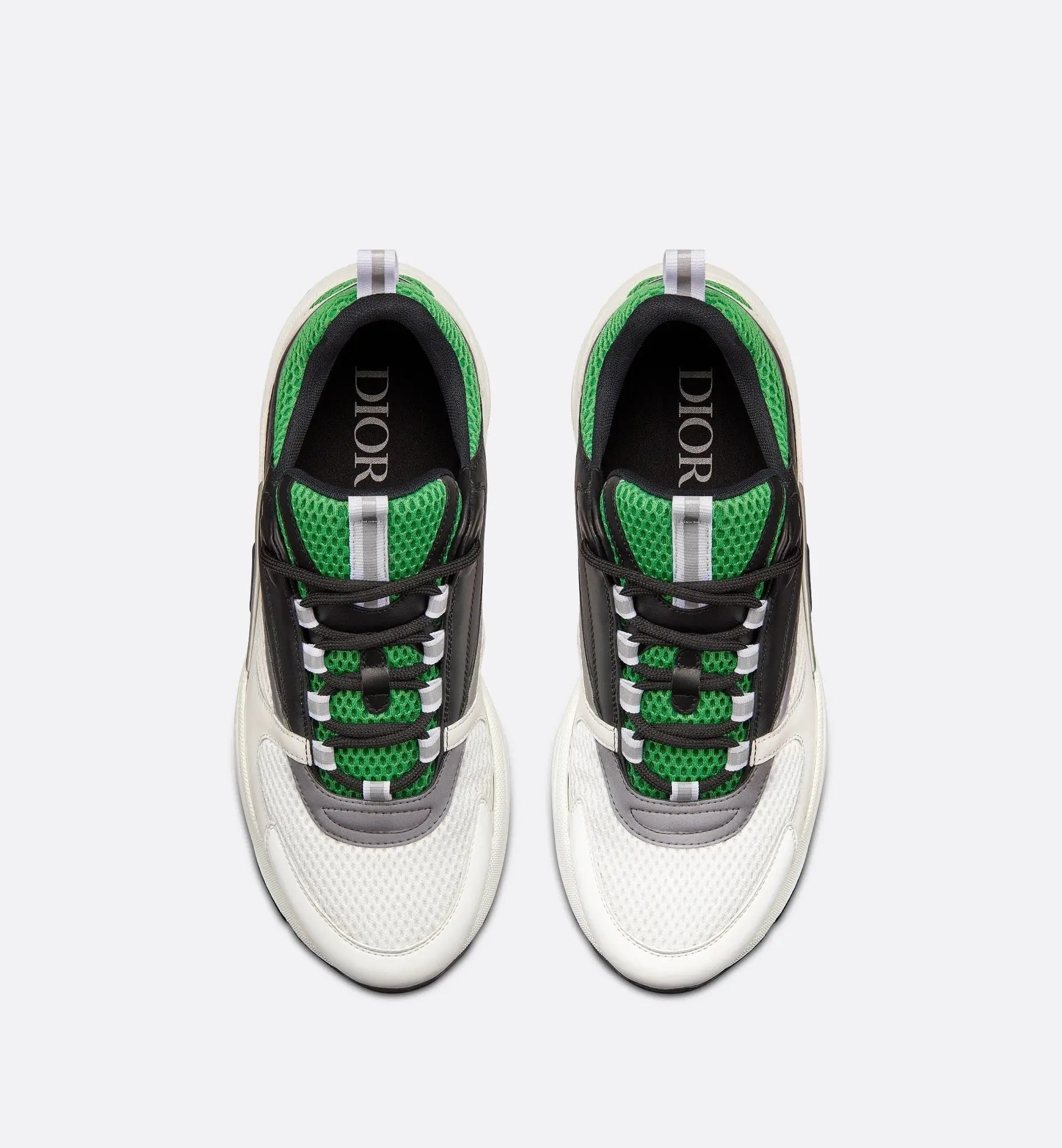 Dior B22