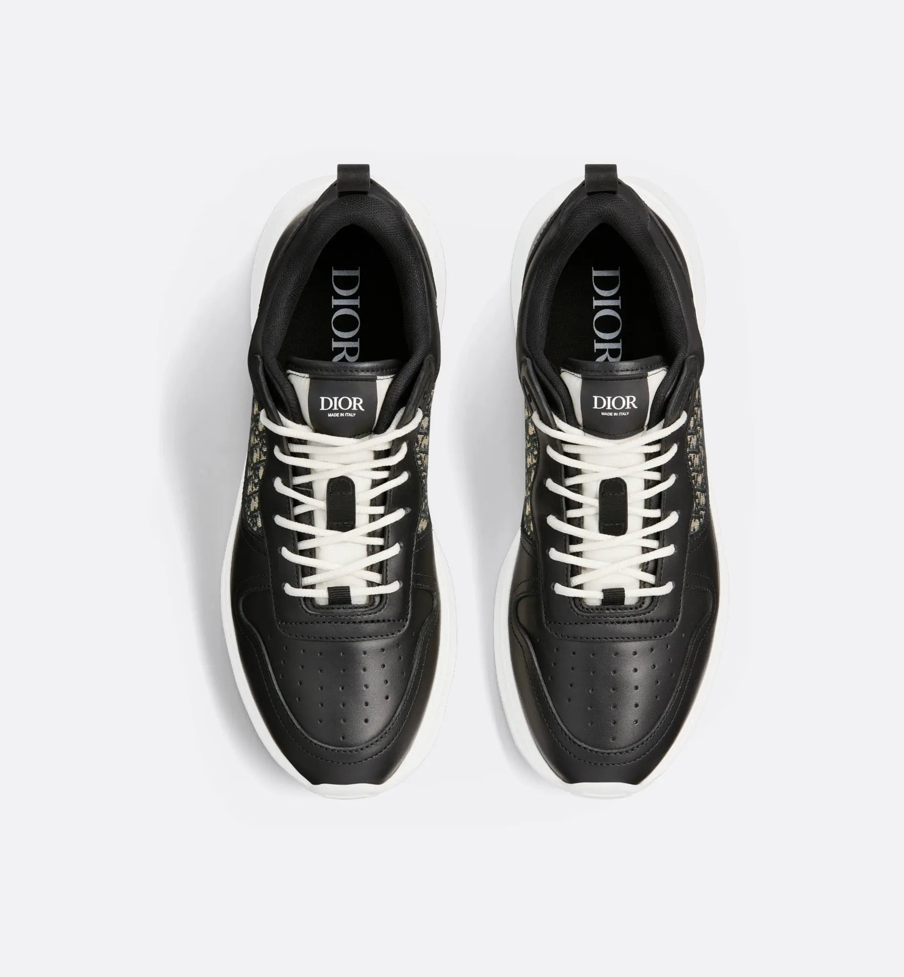 Dior B25