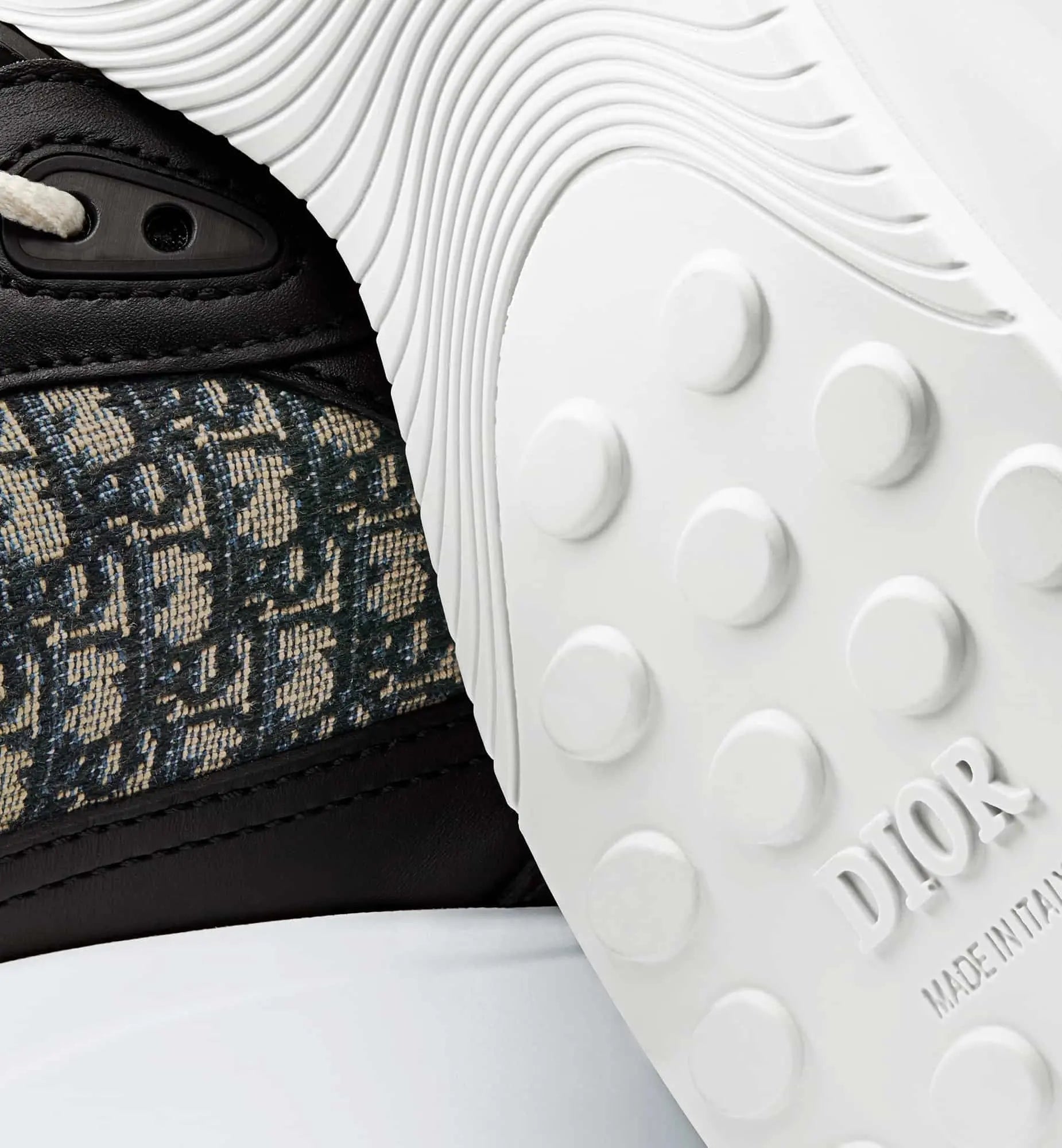 Dior B25