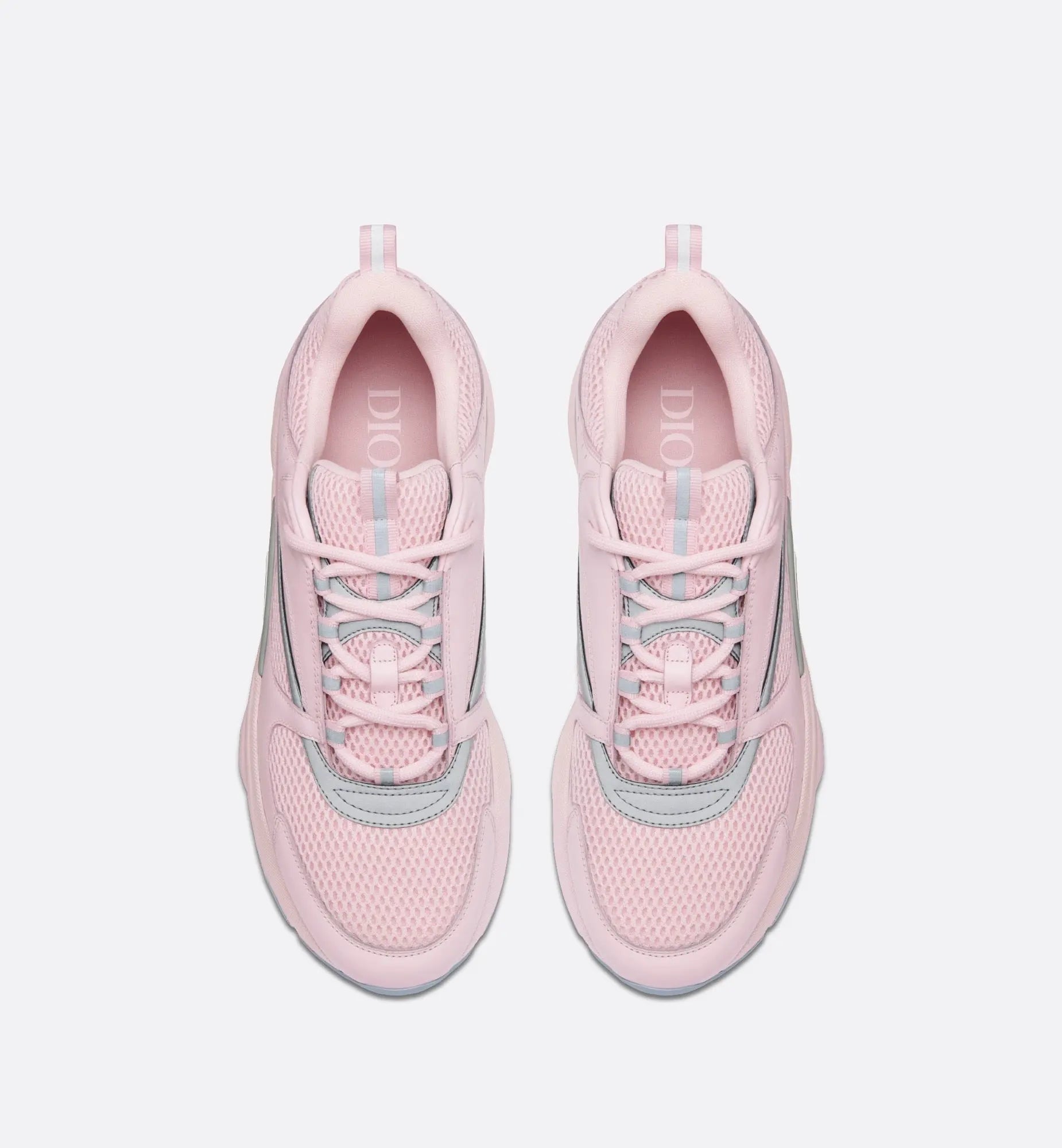 Dior B22