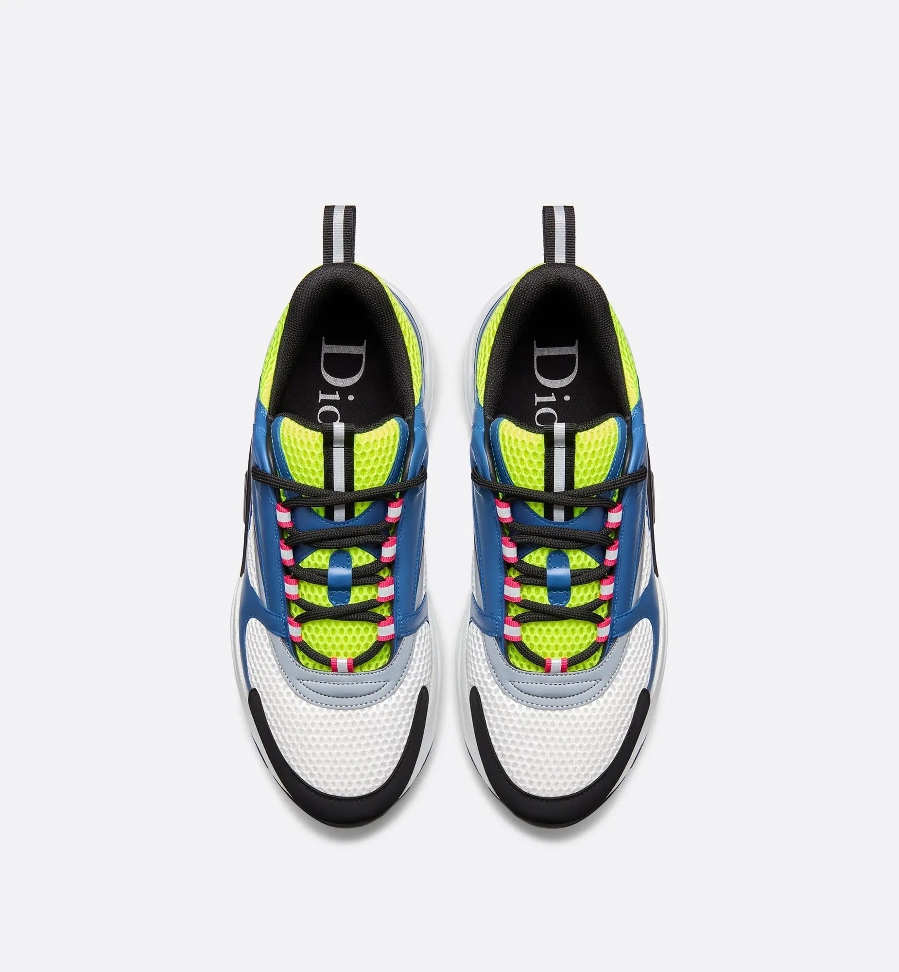 Dior B22