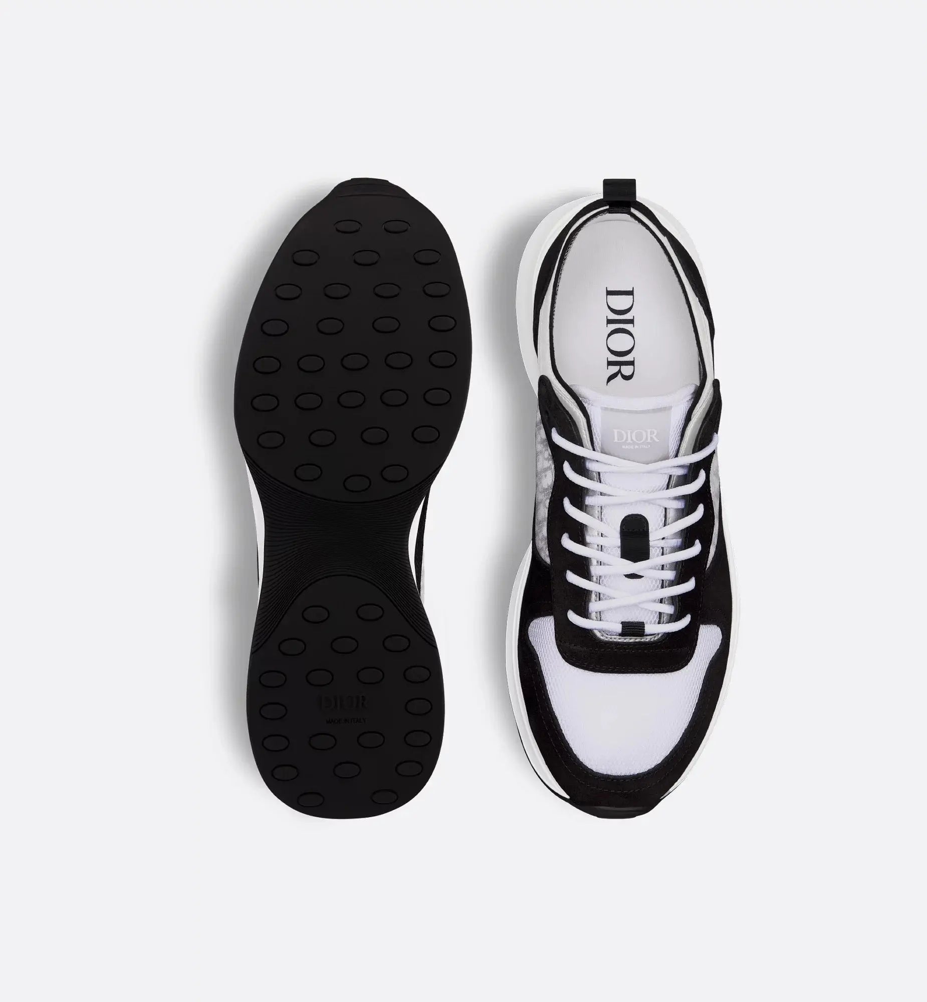 Dior B25