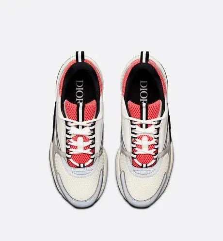 Dior B22