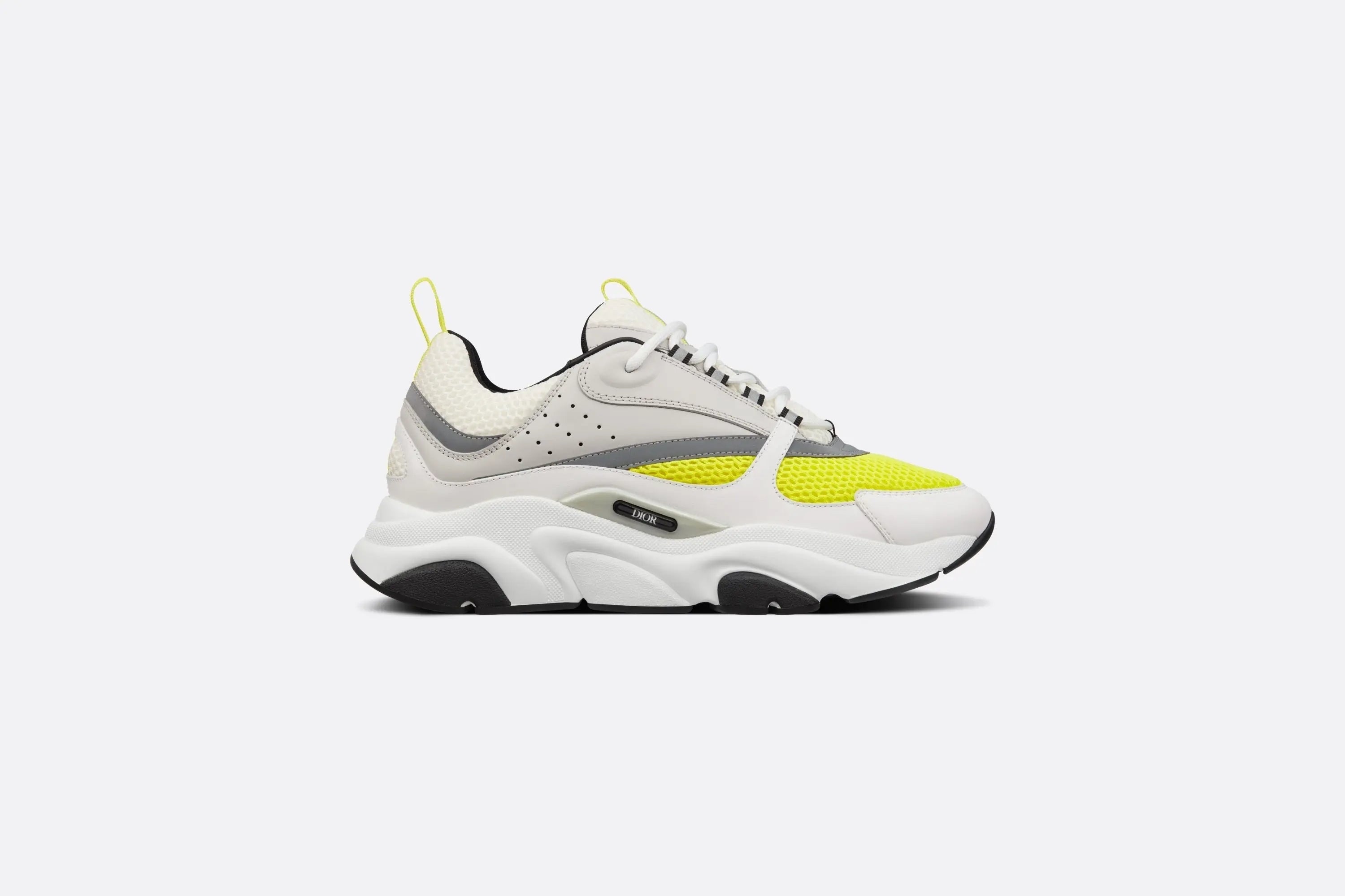 Dior B22