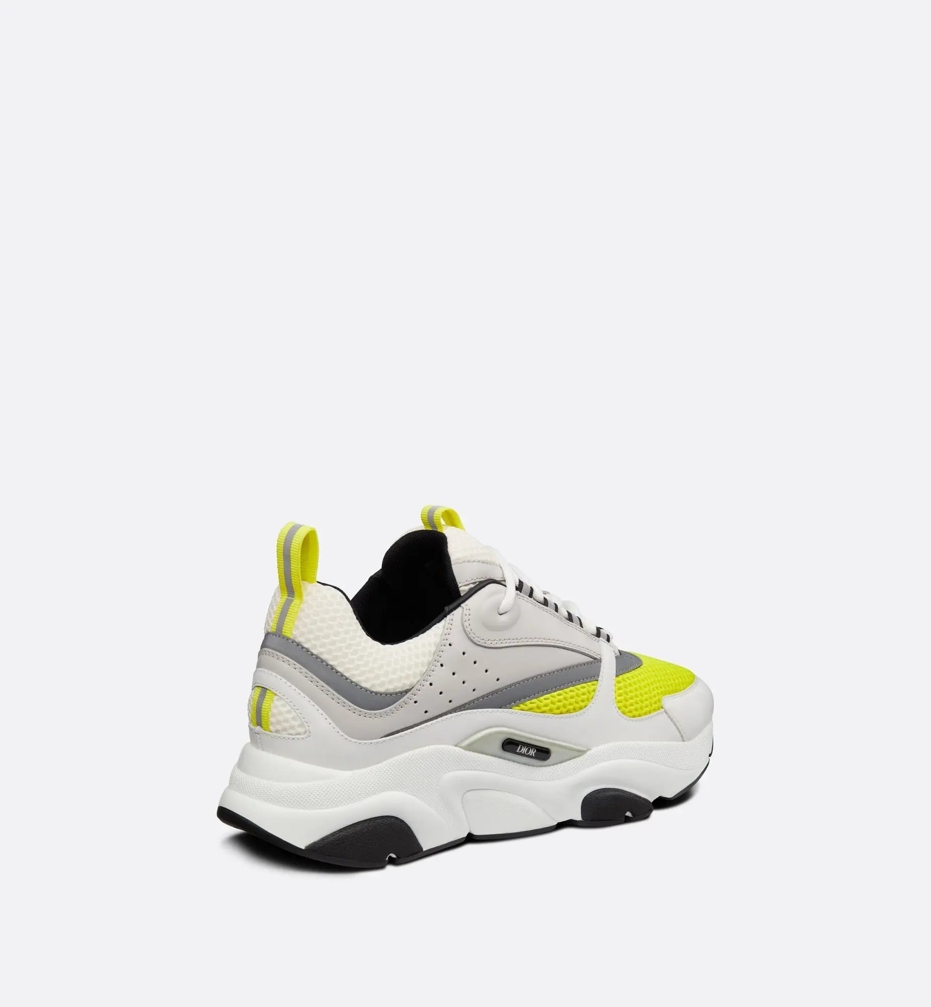 Dior B22