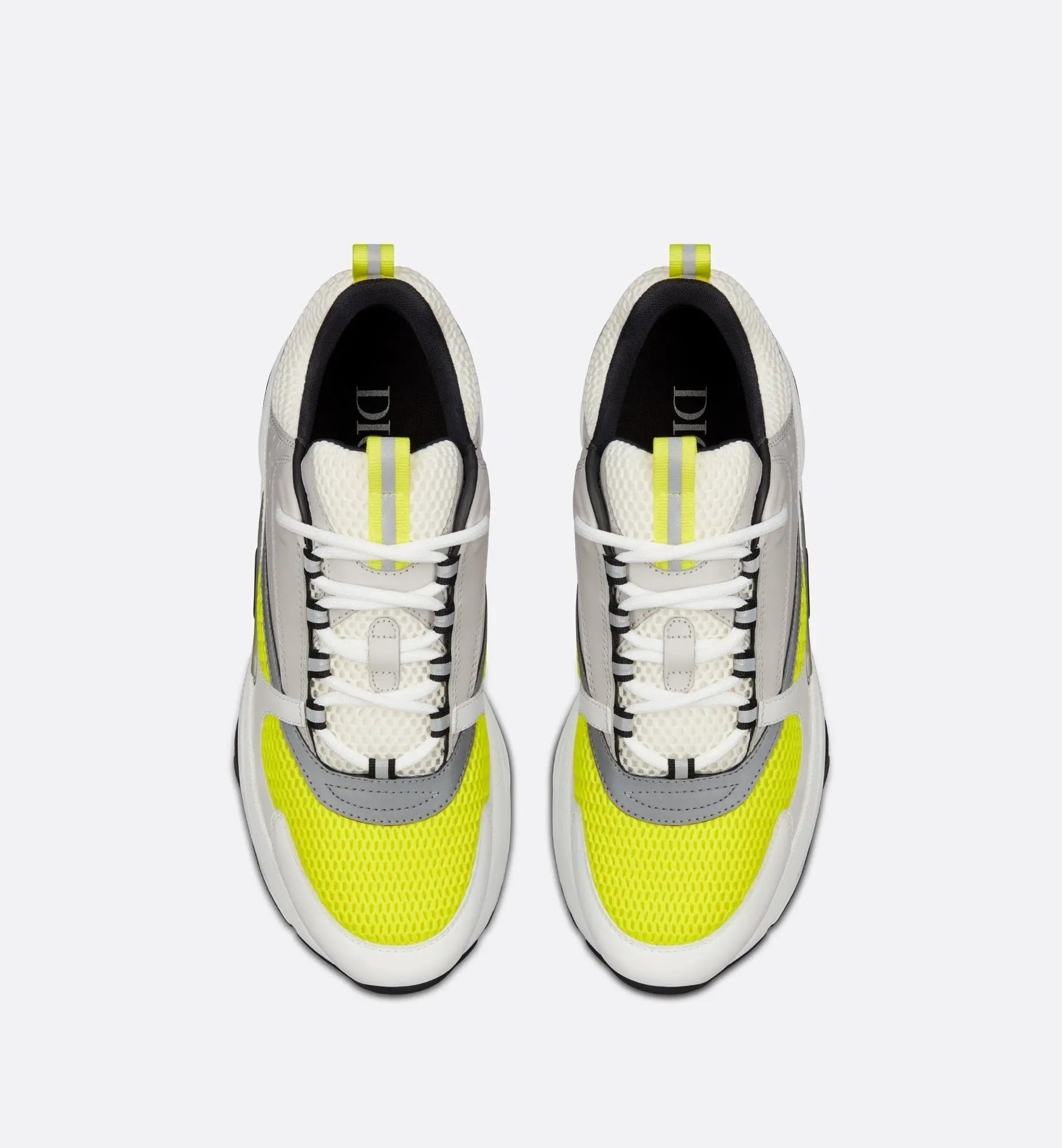 Dior B22