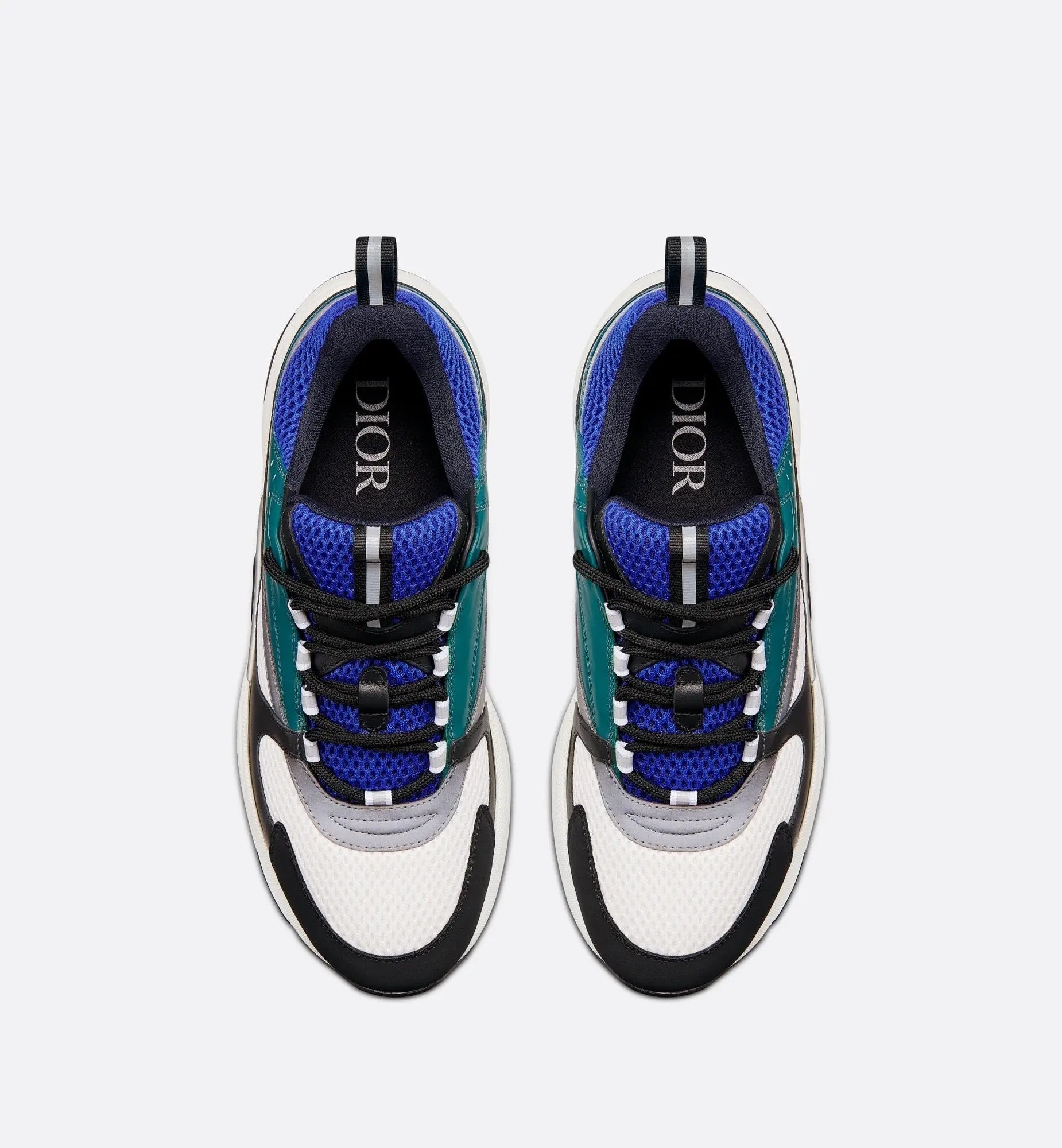 Dior B22