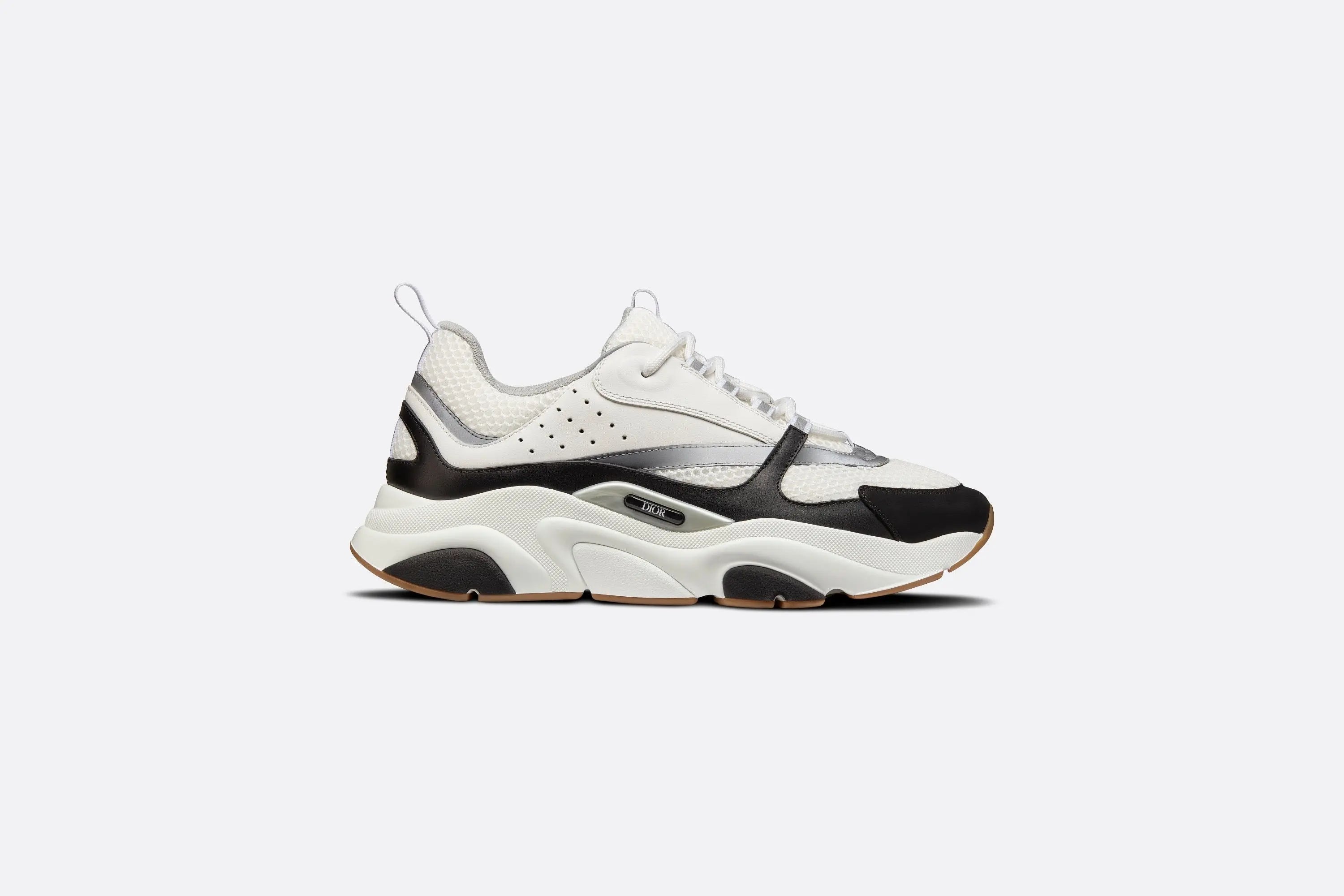 Dior B22