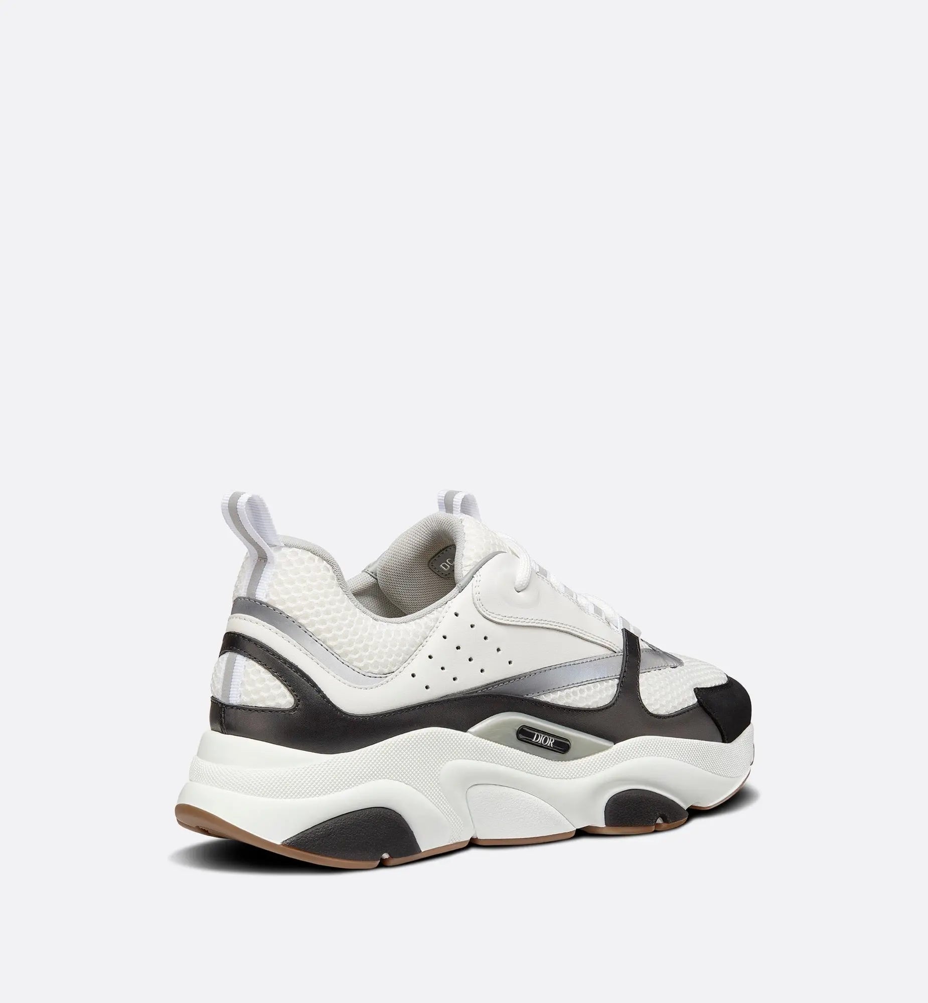 Dior B22