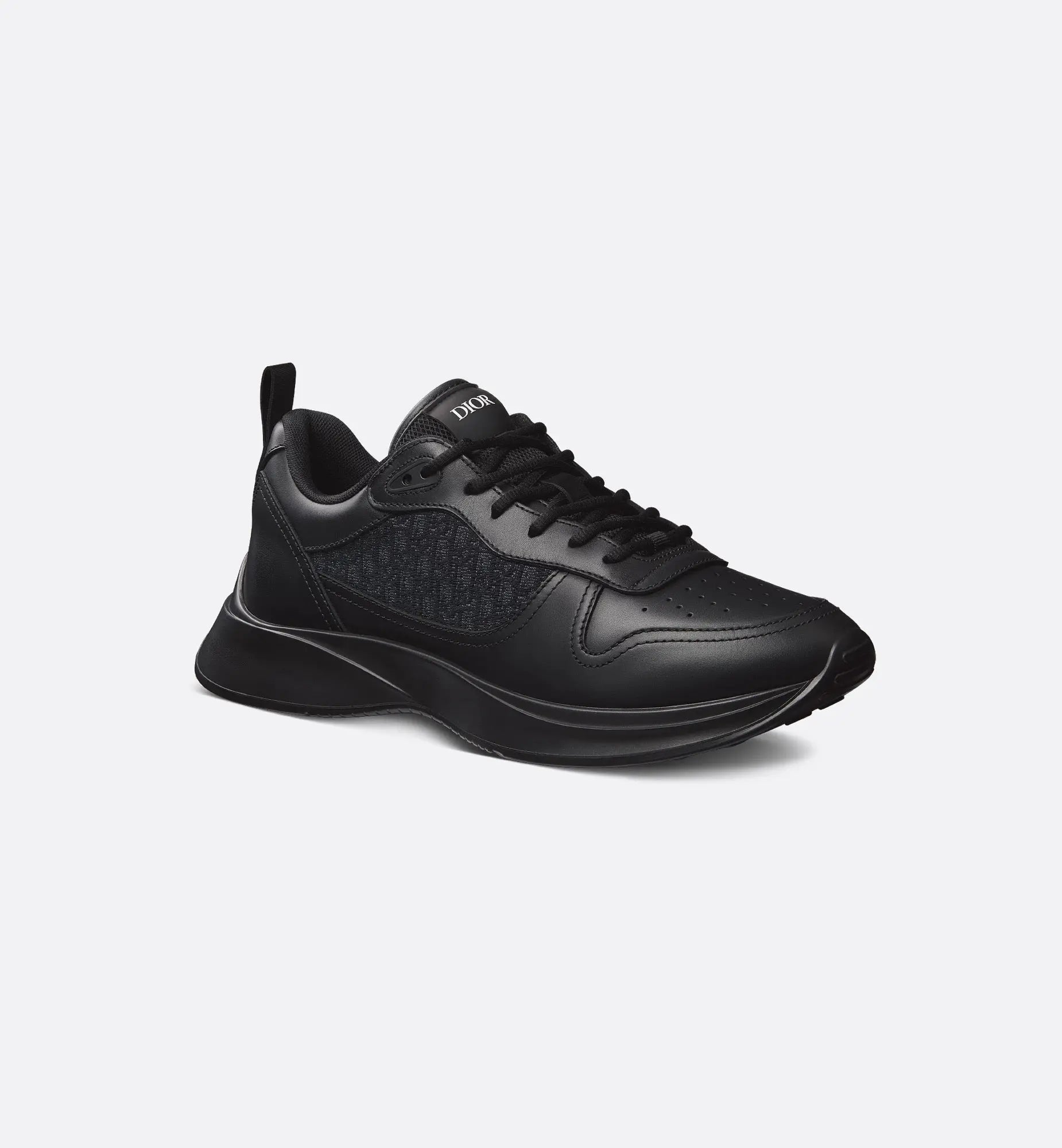 Dior B25