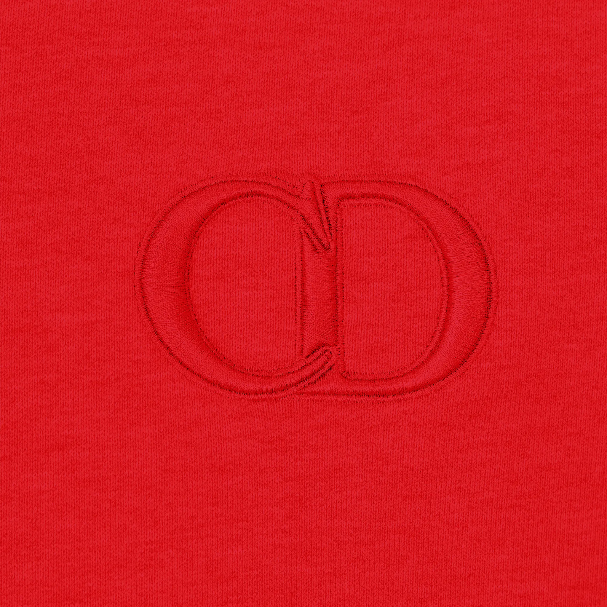 Sweat à capuche Dior Icon