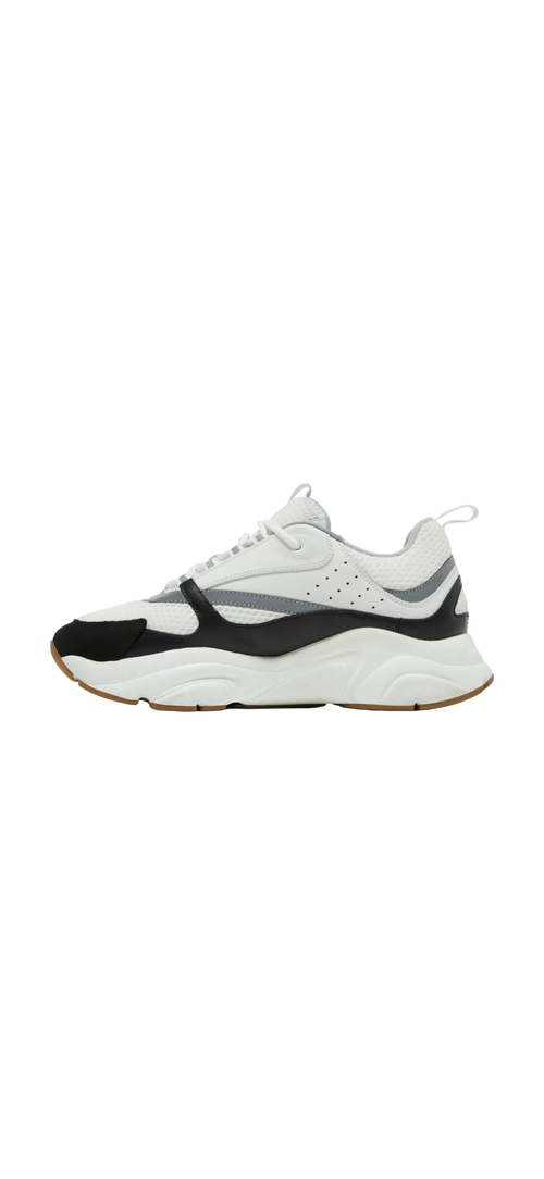 Dior B22